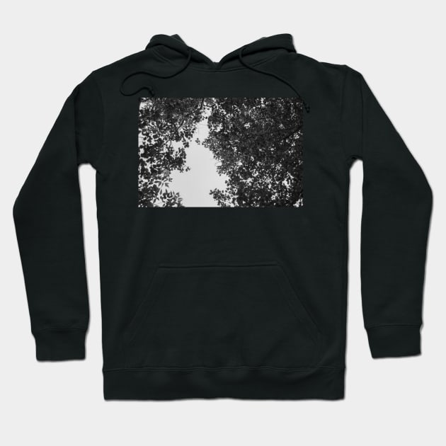 The sky through the foliage Hoodie by EvgeniiV